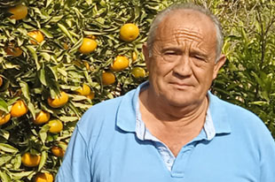 Organic producer Paco Moreno, standing next to a tree full of tangerines