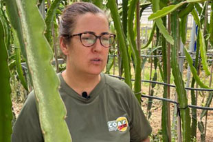 Pilar Vidales standing between cactus plants in a greenhouse