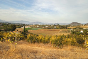 Vue de la terre autour de la ferme de Cristobal Rueda et d'une ville au loin