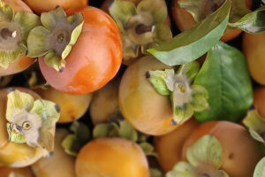 Close-up of a box of freshly harvested persimmon