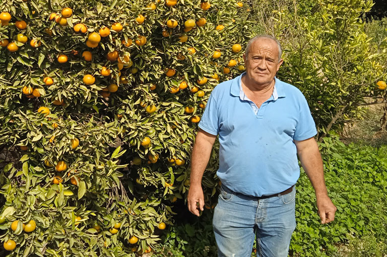 Biologische producent Paco Moreno, staande naast een boom vol mandarijnen