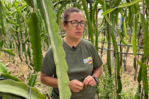 Pilar Vidales standing between cactus plants in a greenhouse