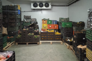 Stacks of fruit crates in the Guadalhorce warehouse