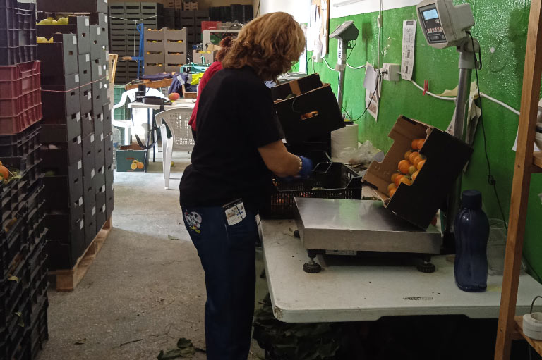 Un ouvrier dans l'entrepôt de Guadalhorce qui emballe une caisse de kaki