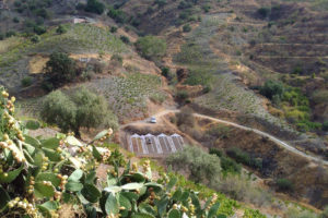 Een uitzicht vanaf de top van een heuvel op de droogplaats voor geoogste druiven