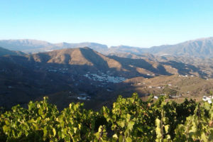 Uitzicht vanaf de boerderij van la Perucha over de heuvels naar de dichtstbijzijnde stad