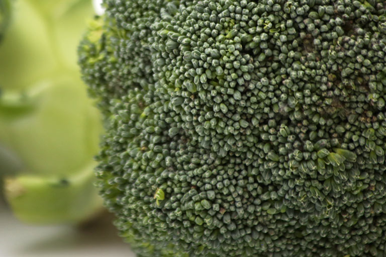 Close up photograph of broccoli florets, showing detail of the buds