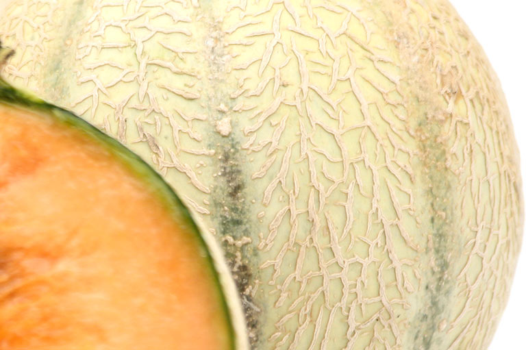 The outside of a cantaloupe melon, showing the colour and texture of the skin