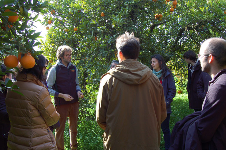 Organic producer Juan Salamanca standing next to one of his orange trees and talking to a group of visitors
