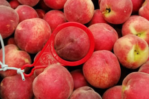 A stack of red fruit with a size gauge