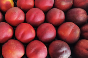 Red fruit packed in a tray ready for shipping