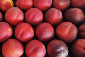 Rood fruit verpakt in een bakje klaar voor verzending