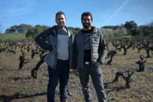 Organic wine producers Pedro Cano and José Acosta standing in a field of grapevines