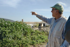 Un hombre señalando un campo de grano, explicando