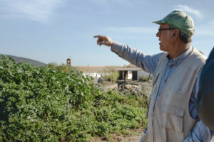 A man pointing at a field of grain, explaining