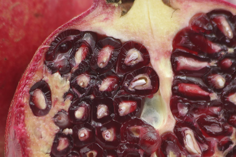 Close-up of a cut pomegranate, showing the large number of bright red seeds inside