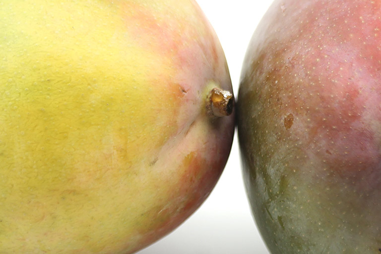 Close-up of the skin of two mangoes showing their colours changing from muted green to red to yellow