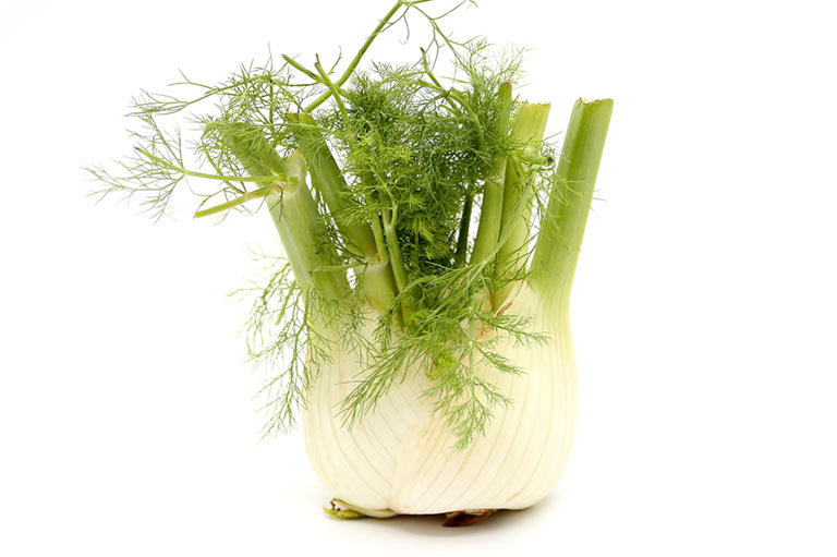 A whole fennel showing the white bulb, green stalks and leaves