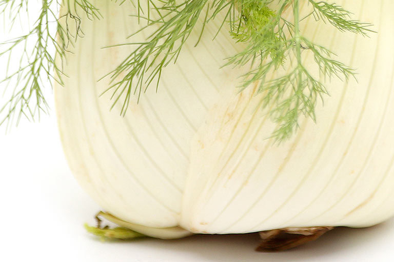 Close up of a white fennel bulb
