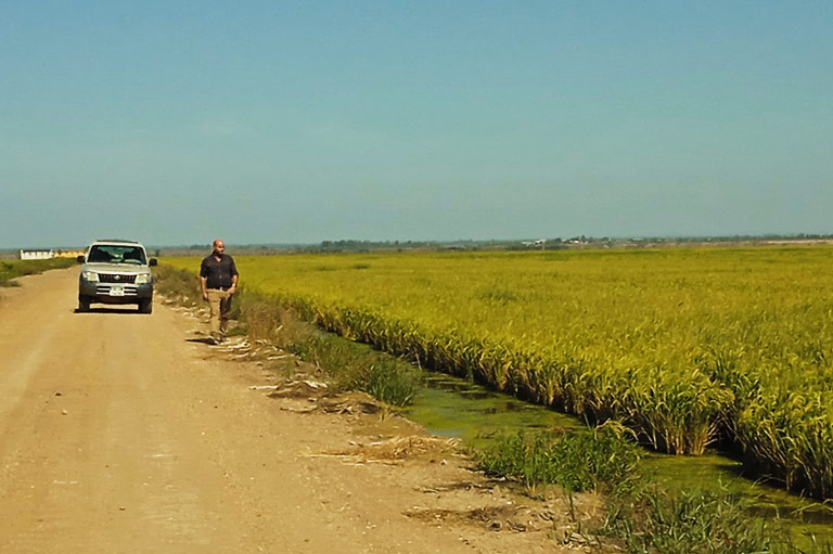 Jose Daniel Carbonell loopt over een onverharde weg naast een veld met rijstplanten