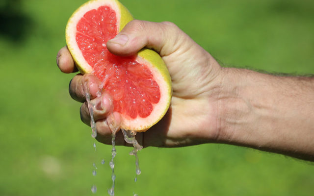 A citrus fruit with green skin and red inside, being squeezed until liquid comes out