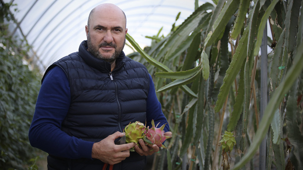 Francisco Rueda, productor de pitaya y maracuyá orgánica