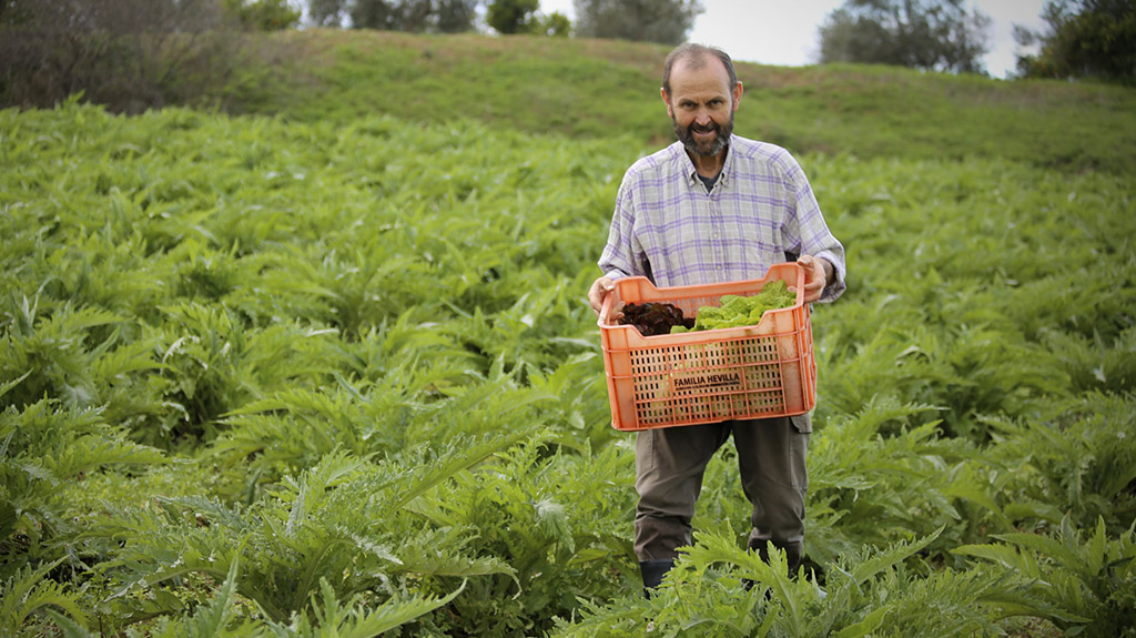 El productor de frutas y verduras ecológicas Sebastián Hevilla, de pie en un campo de cultivo, sosteniendo una caja de productos frescos