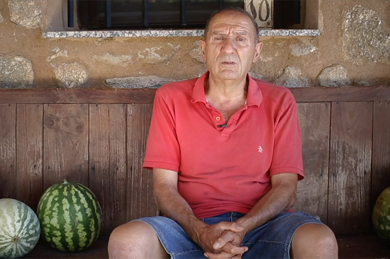 Productor de higos secos orgánicos