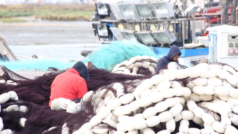 Ouvriers avec un filet de pêche