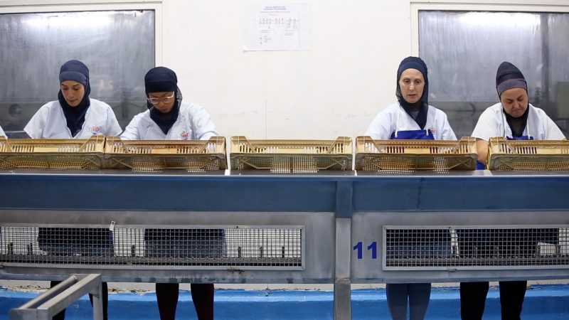 Des ouvrières à l'usine