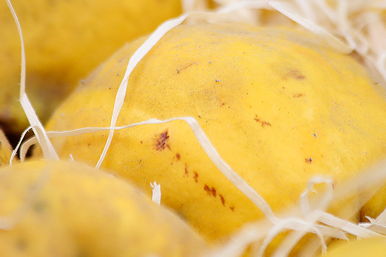 Detailweergave van de textuur van kweepeer