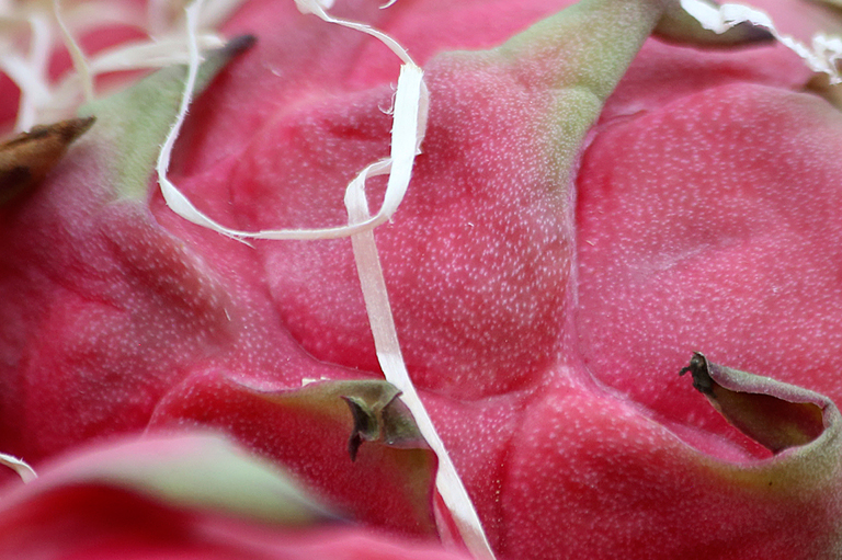 Detailweergave van de textuur van drakenfruit