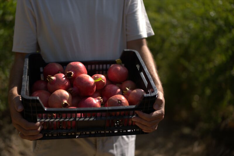 Een kist vol granaatappels