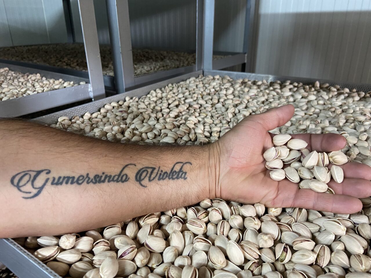 El brazo de Gumersindo con un tatuaje muy significativo