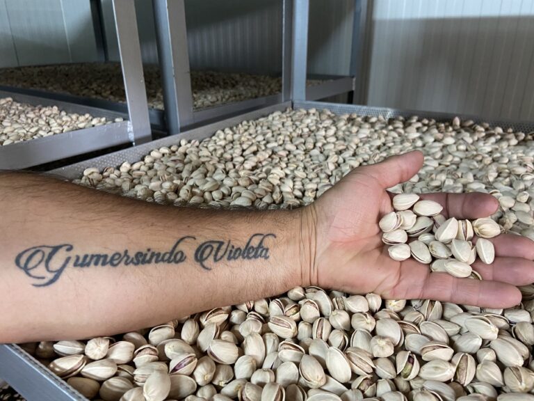 El brazo de Gumersindo con un tatuaje muy significativo