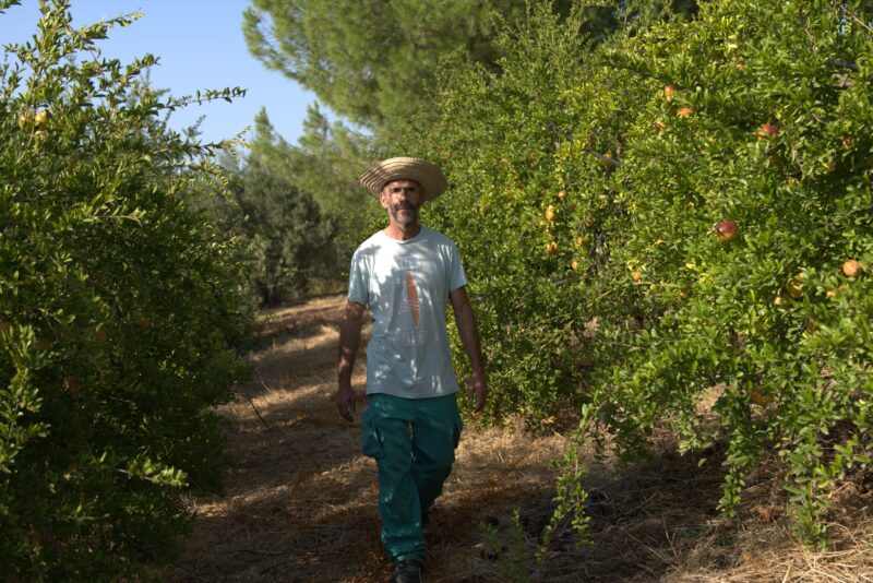 Manolo pasea por su bosquecillo